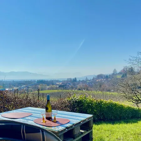 Apartment Weinberg-idyll - Traumhafter Blick über Weinberge Auf Den Bodensee *