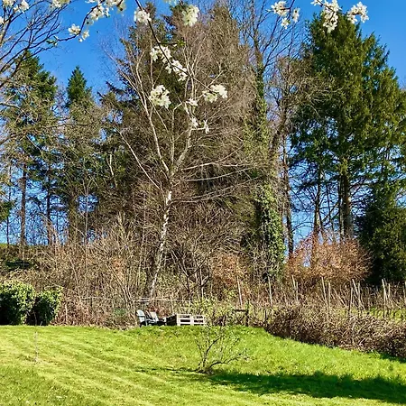 Weinberg-idyll - Traumhafter Blick über Weinberge Auf Den Bodensee Apartment *
