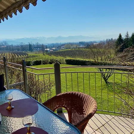 Weinberg-idyll - Traumhafter Blick über Weinberge Auf Den Bodensee *