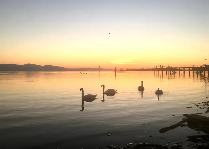 Apartman Weinberg-idyll - Traumhafter Blick Ueber Weinberge Auf Den Bodensee