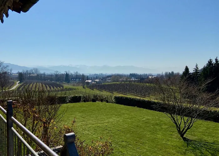 Apartman Weinberg-idyll - Traumhafter Blick Ueber Weinberge Auf Den Bodensee Lindau