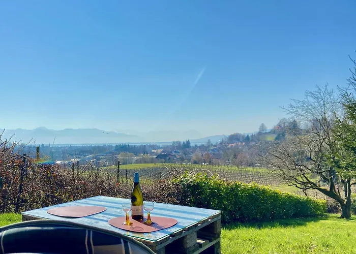 Apartman Weinberg-idyll - Traumhafter Blick Ueber Weinberge Auf Den Bodensee *