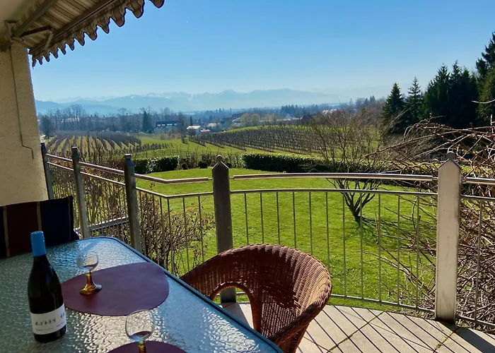 Weinberg-idyll - Traumhafter Blick Ueber Weinberge Auf Den Bodensee *